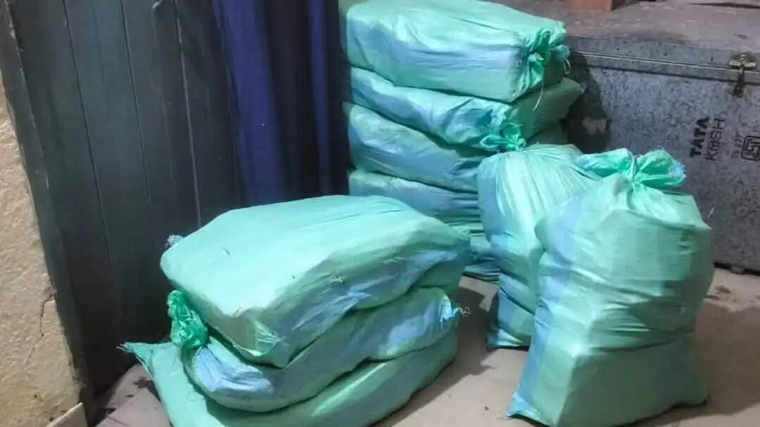 नरपतगंज खैरा नहर के समीप छापेमारी में 252 लीटर नेपाली शराब बरामद