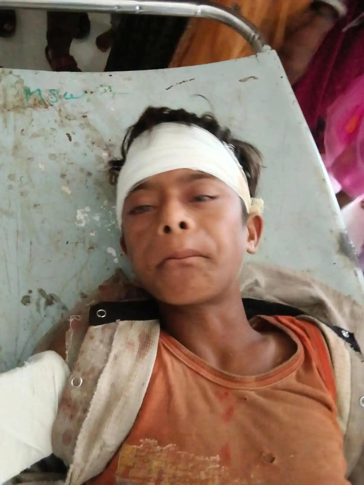राजगढ़ः खेत में बकरी चरा रहे 10 वर्षीय बालक पर जंगली सुअर का हमला, गंभीर घायल