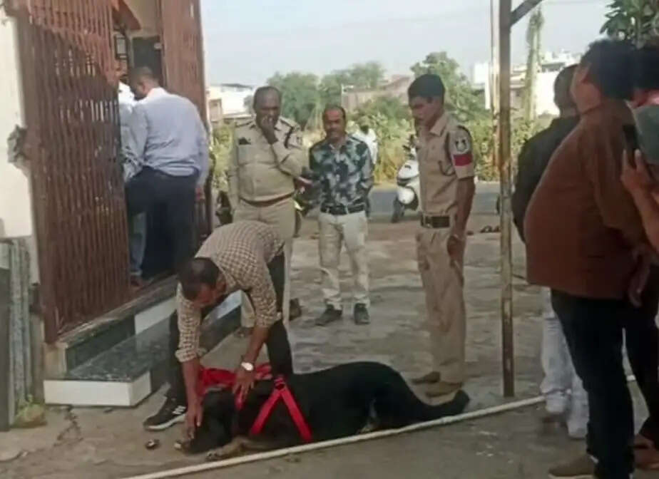 झाबुआ: बदमाशों ने शनि देव की चढौत्री पर बोला धावा: दानपेटी सहित पचास हजार ले भागे