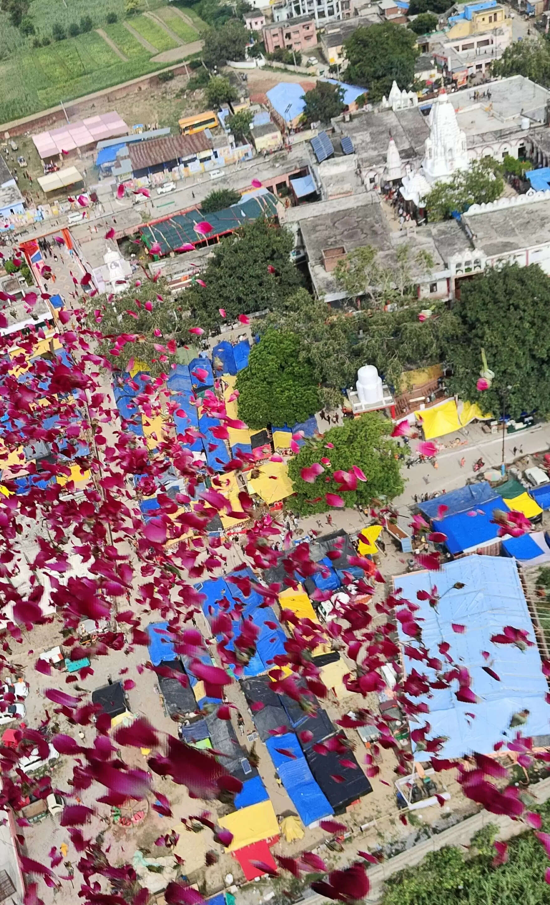 जिला अधिकारी ने बागपत में कांवड़ ला रहे शिव भक्तों पर की पुष्प वर्षा