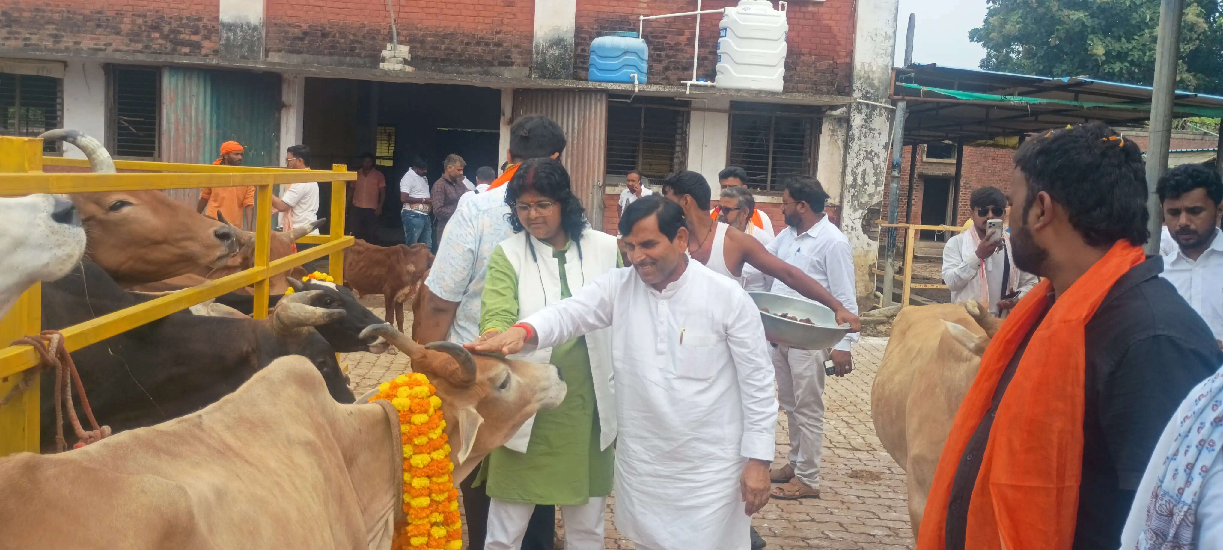 सेवा संकल्प यात्रा जौनपुर पहुंची, गौशाला में गायों को गुड़ खिलाकर और चारा परोसकर किया गया सेवा कार्य