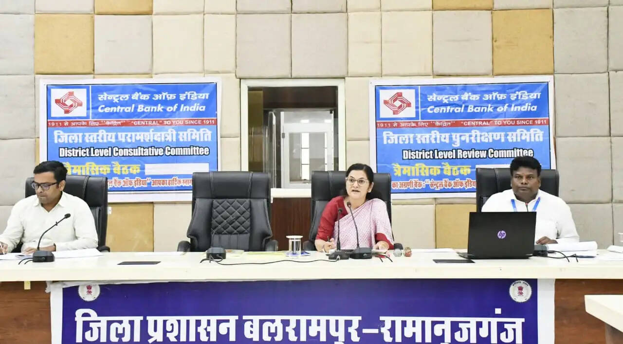 बैंकिंग समीक्षा में कलेक्टर के निर्देश, हर पात्र हितग्राही तक पहुंचे ऋण का लाभ