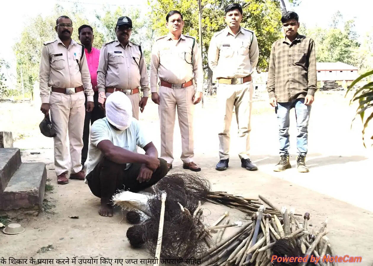 अनूपपुर:जंगल में शिकार के लिए लगाई सामग्री सहित आरोपी गिरफ्तार, दो की तलाश जारी
