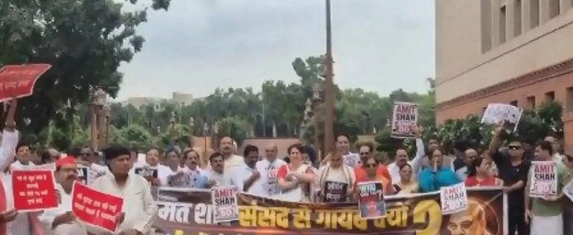 विपक्ष का संसद परिसर में प्रदर्शन, प्रियंका बोलीं- भाजपा से ऊब चुकी जनता
