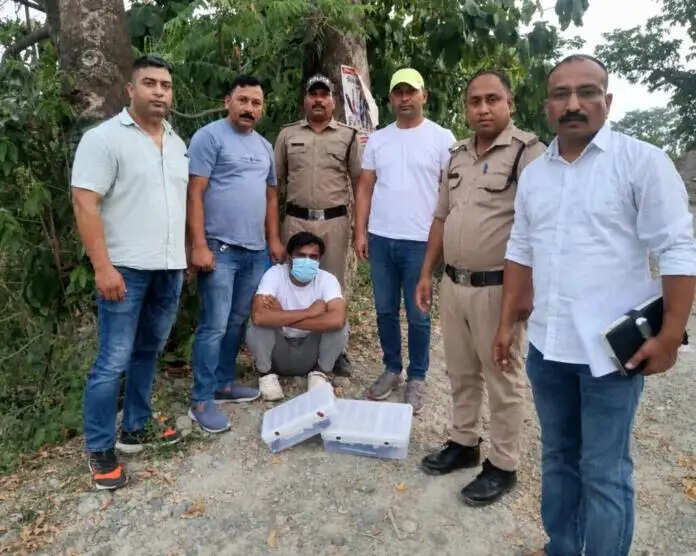 एसओजी व पुलिस ने संयुक्त कार्रवाई में अवैध हथियारों का जखीरा पकड़ा
