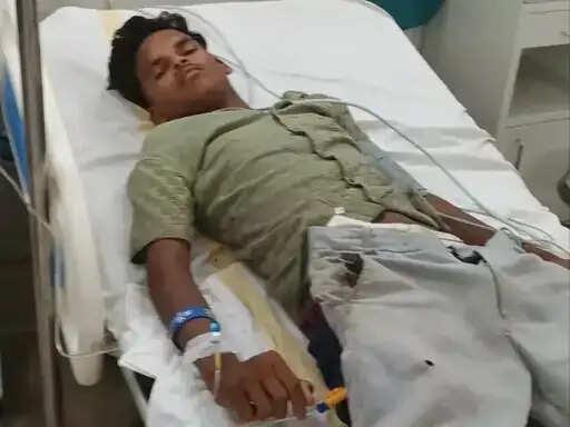 अनूपपुर: जंगली हाथी ने युवती को सूंड से पटक कर उतारा मौत के घाट