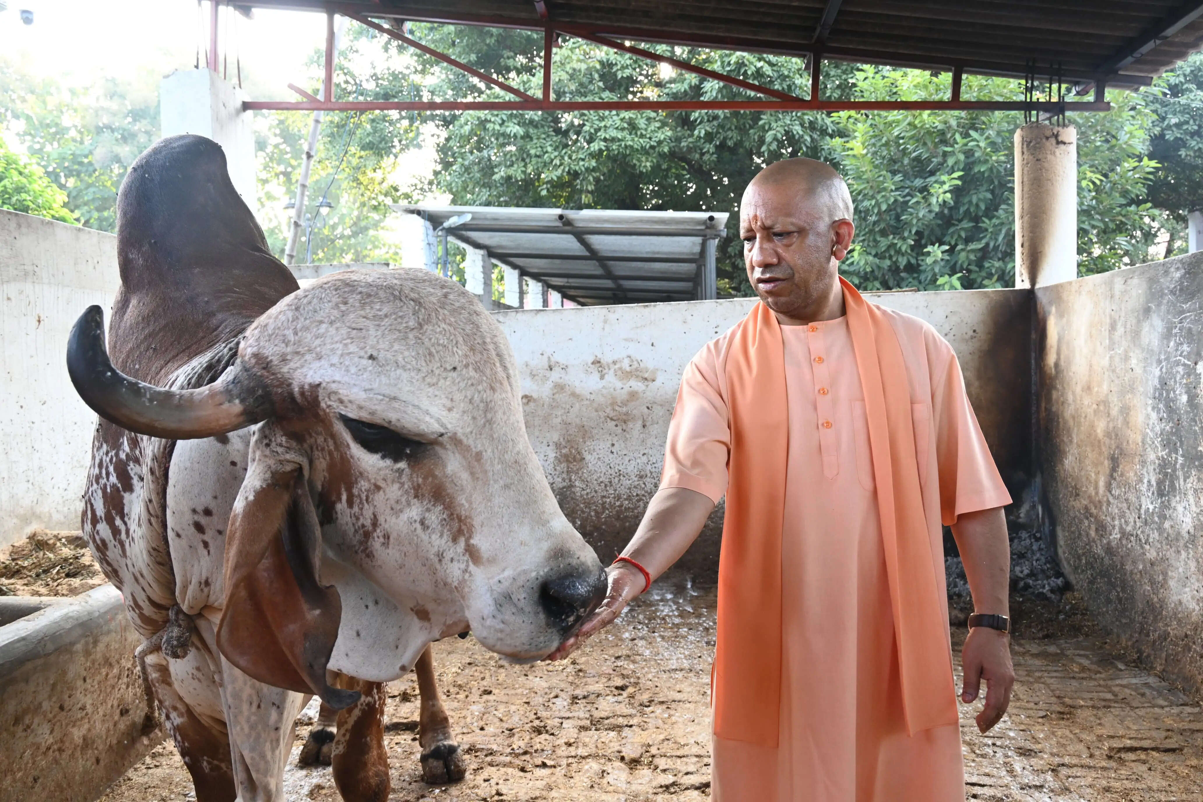 समस्या निस्तारण में लापरवाही पर होगी कड़ी कार्रवाई : मुख्यमंत्री योगी