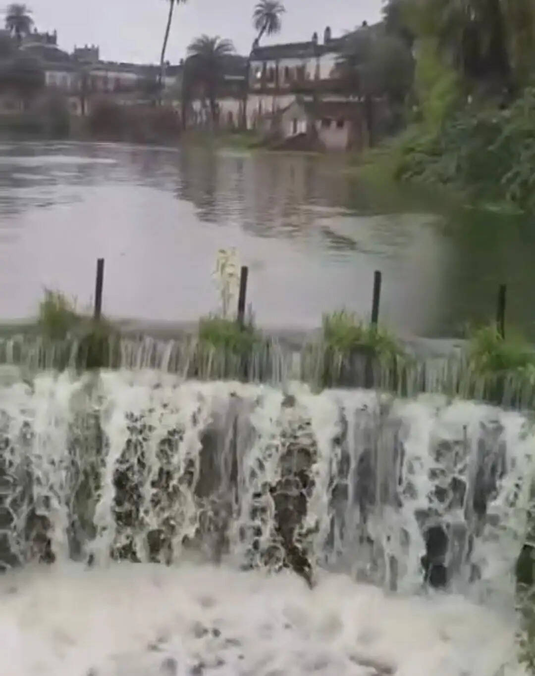 दतिया में झमाझम बारिश से जलभराव, कच्चा मकान गिरा; अंगूरी बैराज से पहूंज नदी में छोड़ा पानी