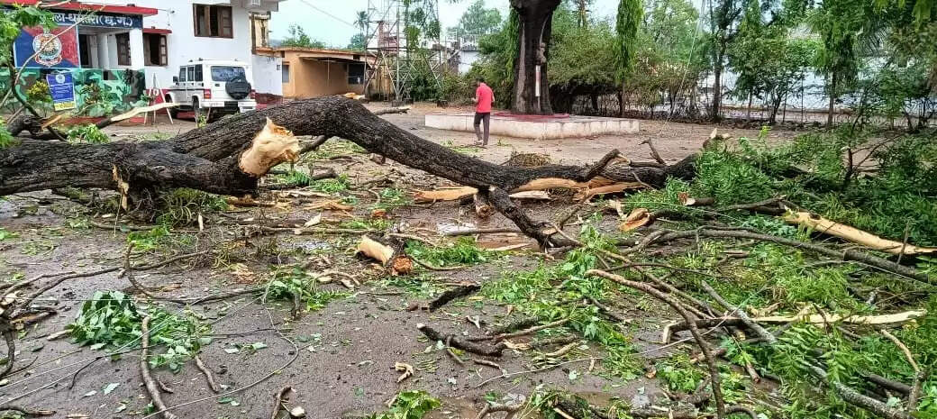 गरज-चमक के साथ रात में हुई वर्षा, मौसम हुआ सुहावना
