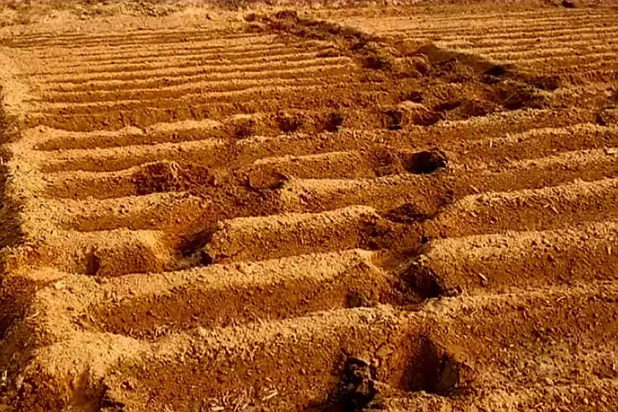 बांकुड़ा : खेत देखने गए किसान की हाथी के हमले में मौत