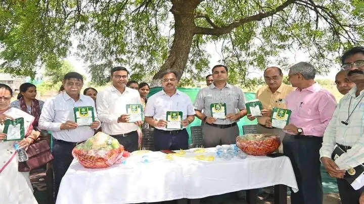 जबलपुरः कृषि विश्वविद्यालय के सब्जी फार्म का कृषि उत्पादन आयुक्त ने किया भ्रमण