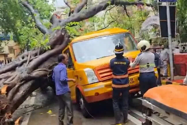 (अपडेट) चेंबूर में निजी स्कूल की बस पर पेड़ गिरने से एक छात्रा की मौत, १४ छात्र घायल