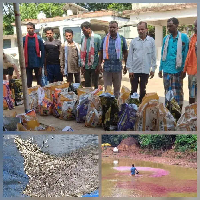 नाै करोड़ मत्स्य बीज उत्पादन का लक्ष्य, सात करोड़ का हुआ उत्पादन