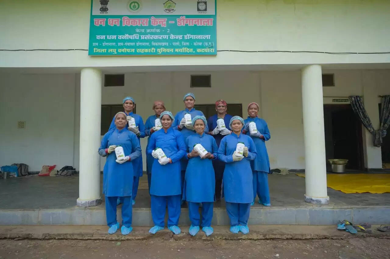 कोरबा : महिला शक्ति और वनोपज का सशक्त उदाहरण बना हरिबोल स्व सहायता समूह