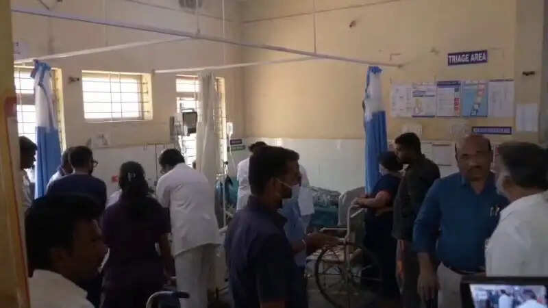 कर्नाटक के दावणगेरे में रमज़ान नमाज़ के दौरान मधुमक्खियों का हमला, पांच लोग गंभीर घायल