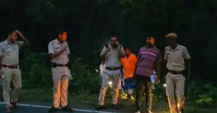 मलानदिघी के जंगल में मिले चार मानव कंकाल, इलाके में सनसनी