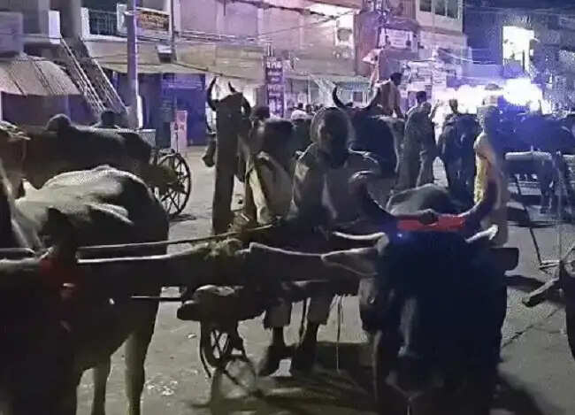 मप्र के पन्ना में बैलगाड़ियों पर निकली बारात, परंपरा और पर्यावरण बचाने का दिया संदेश