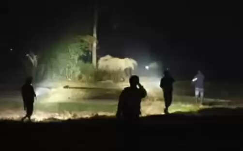 झाड़ग्राम में फिर हाथियों का आतंक, मशालें और टॉर्च लेकर ग्रामीणों ने खदेड़ा