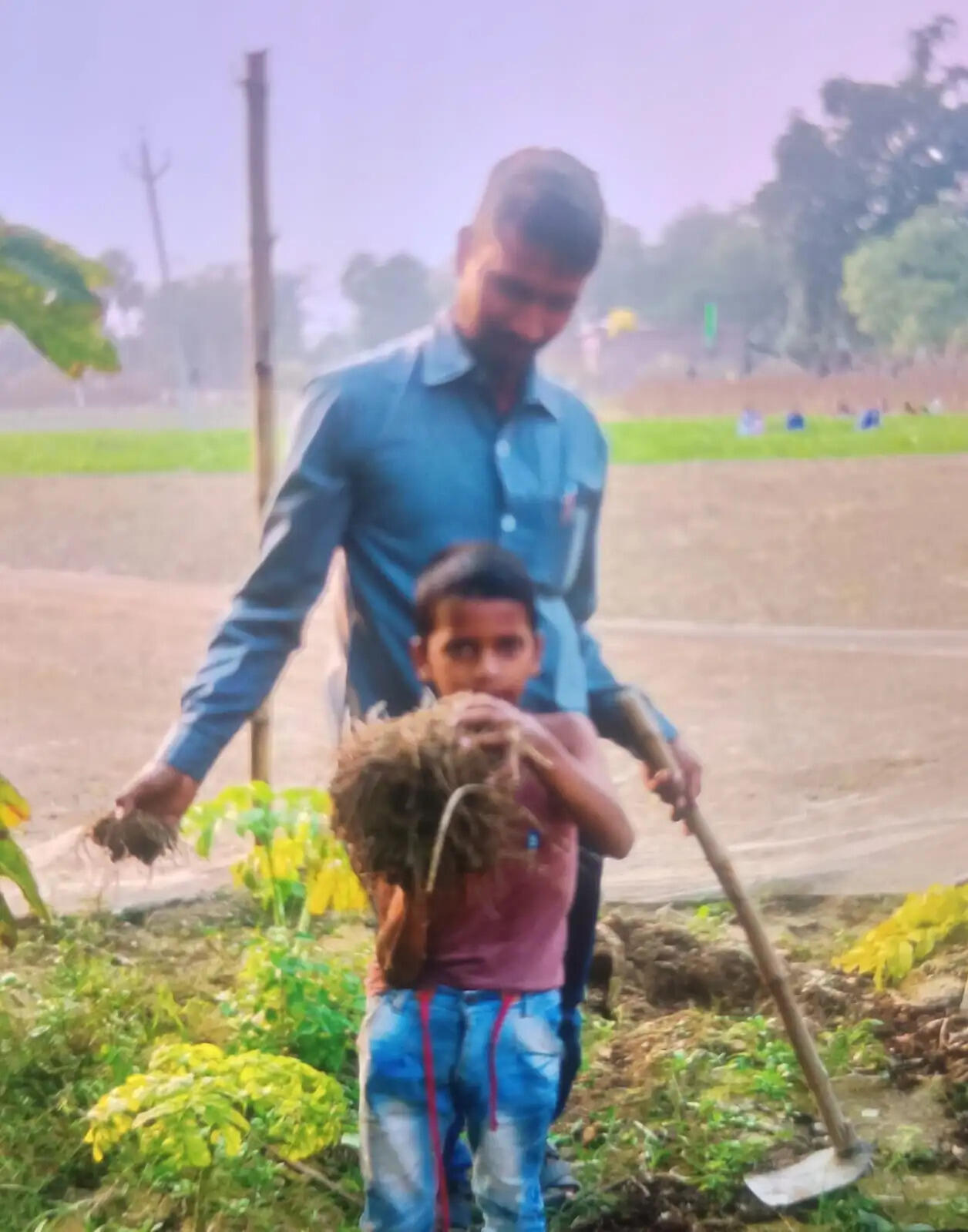 देवरिया : पारंपरिक खेती छोड़ उद्यानिकी से बढ़ी किसान जय सिंह की आमदनी
