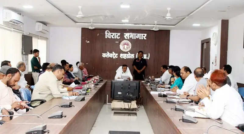 निर्माणाधीन विकास कार्यों को प्राथमिकता के साथ करें पूर्ण:उप मुख्यमंत्री शुक्ल