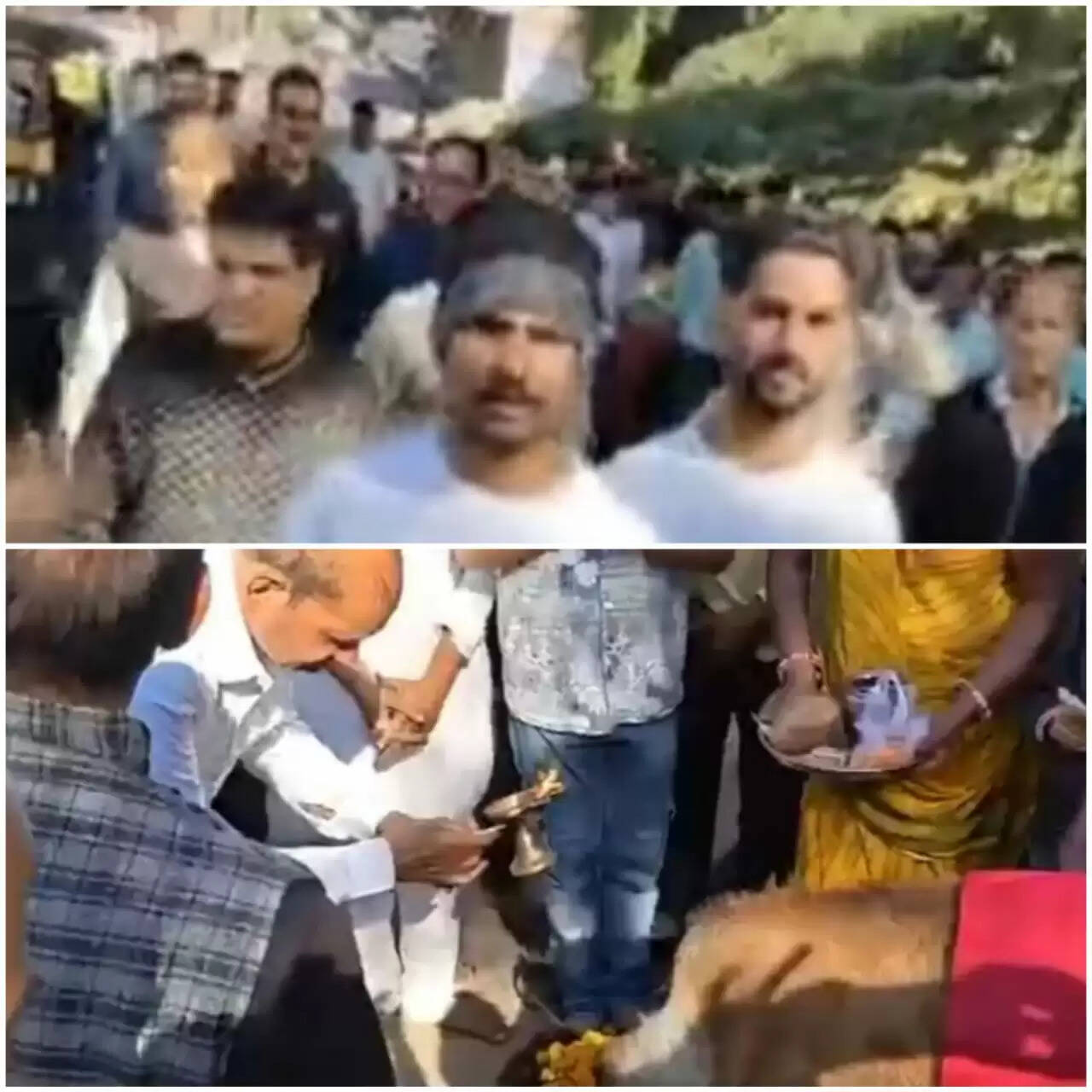 राजगढ़ः धार्मिक उत्साह के साथ निकाली गोमाता संकीर्तन यात्रा, लगाया 56 भोग