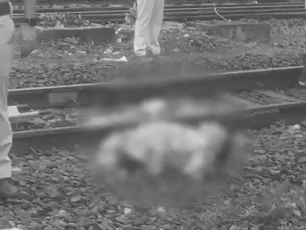 मप्रः&nbsp;हरदा रेलवे&nbsp;स्टेशन पर ट्रेन की चपेट में&nbsp;आने&nbsp;से&nbsp;आरपीएफ&nbsp;जवान की मौत