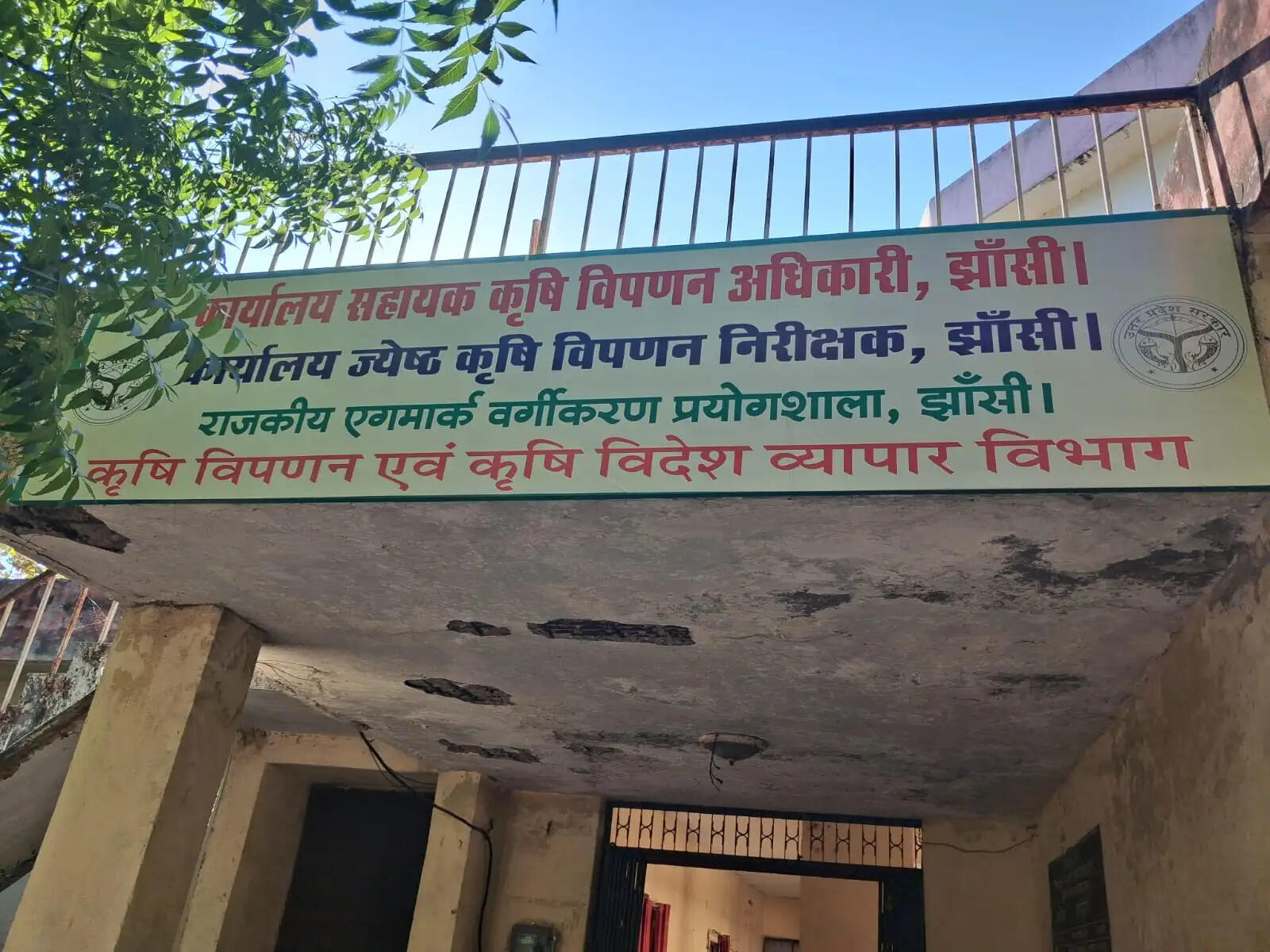 झांसी : मूंगफली और तुलसी के निर्यात को बढ़ावा देंगे क्लस्टर