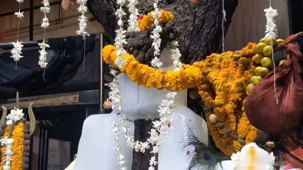 नौतपा की प्रचंड तपिश में बाबा बर्फानी बने मसाणिया धाम के भैरूनाथ