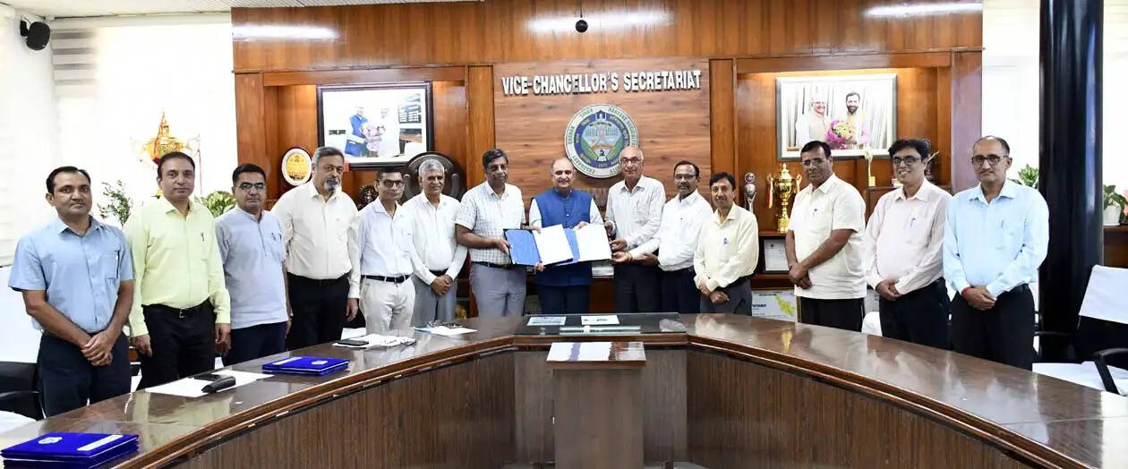 हिसार : सरसों की हाइब्रिड किस्म आरएचएच 2101 से बढ़ेगी उत्पादन की उम्मीद, हकृवि का कंपनी से समझौता