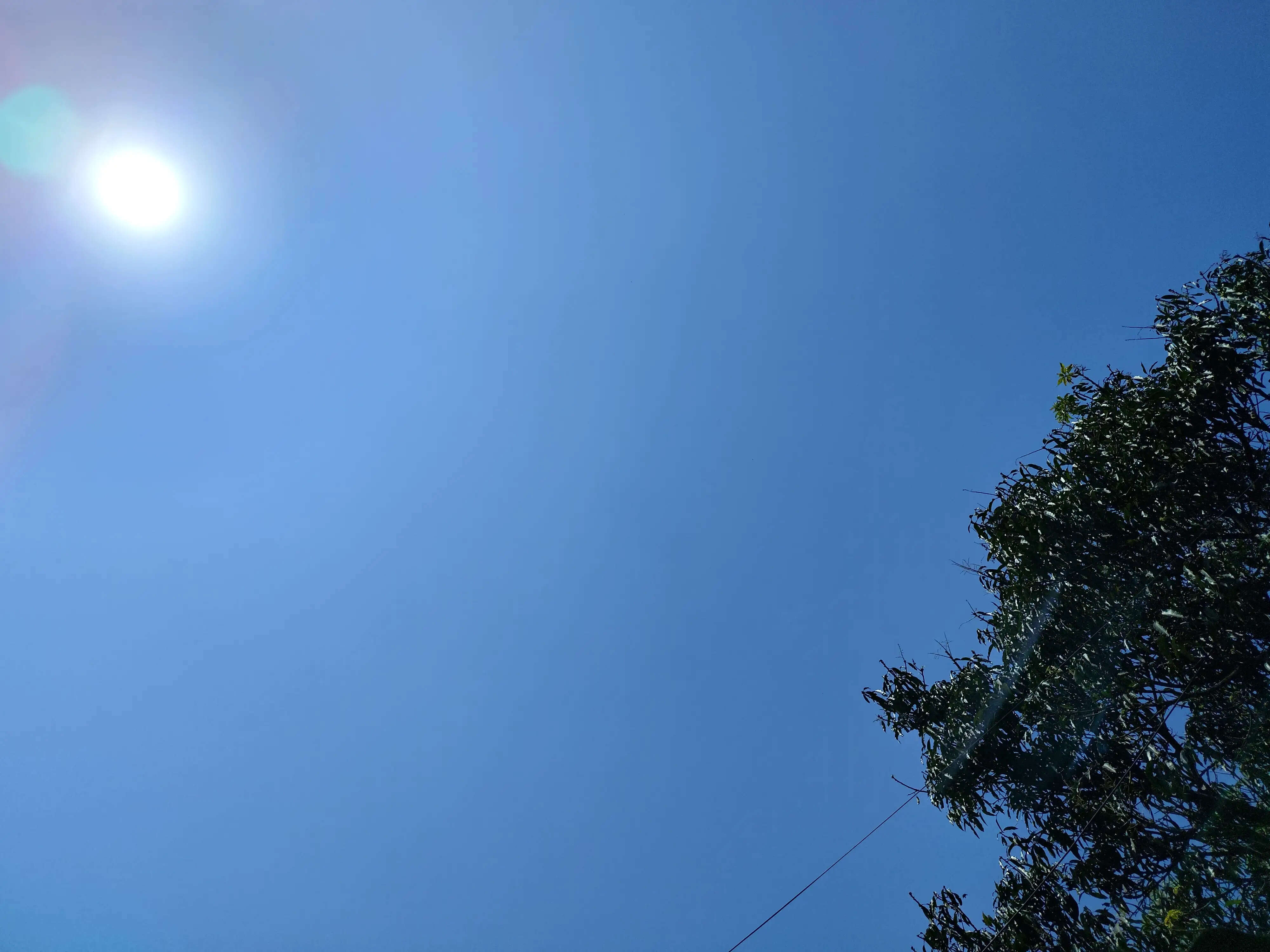 उत्तराखंड में मैदानी क्षेत्रों में गर्मी का अलर्ट, हीट वेव को लेकर स्कूल बंद