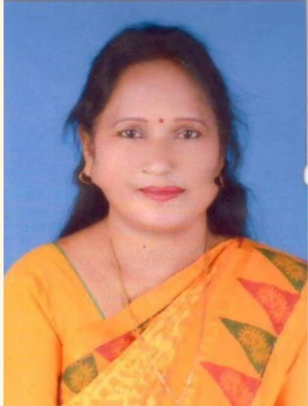 (संशोधित )बिजली दर बढ़ाना पूरी तरह अनुचित : भाजपा