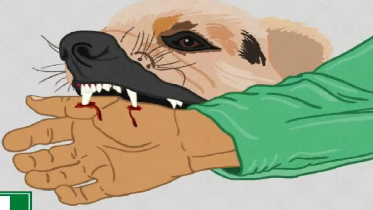 कुत्ते ने डेढ़ महीने के मासूम को नोचा, आंतें बाहर आईं