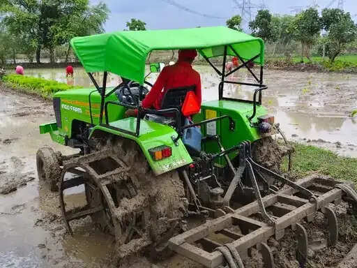 अनूपपुर: धीमी पड़ी मानसून की रफ्तार, बुआई पिछडी अब तक 1.20 लाख पर बुआई, 8 इंच कम वर्षा