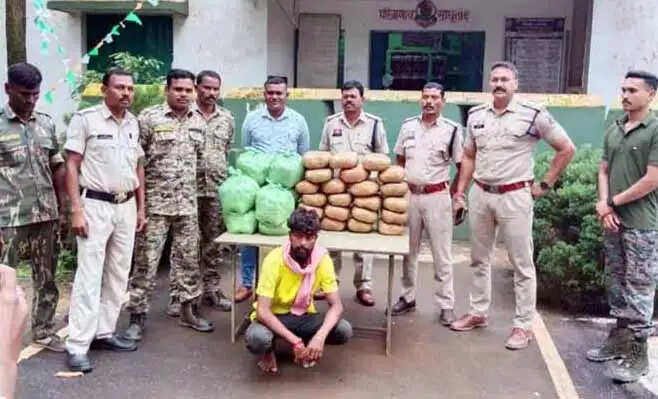 घर में छिपाकर रखे 42 किलो अवैध गांजा के साथ एक आराेपित गिरफ्तार