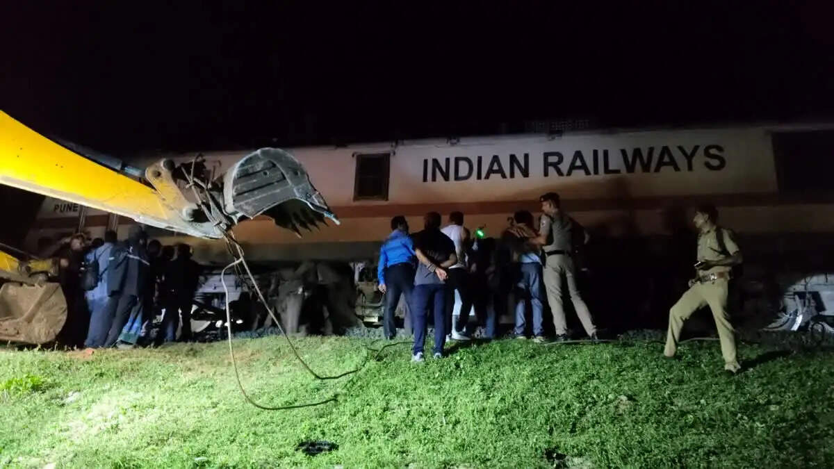 विश्व हाथी दिवस पर हादसा, तमिलनाडु-केरलम सीमा पर ट्रेन की चपेट में आए गज और शावक की मौत