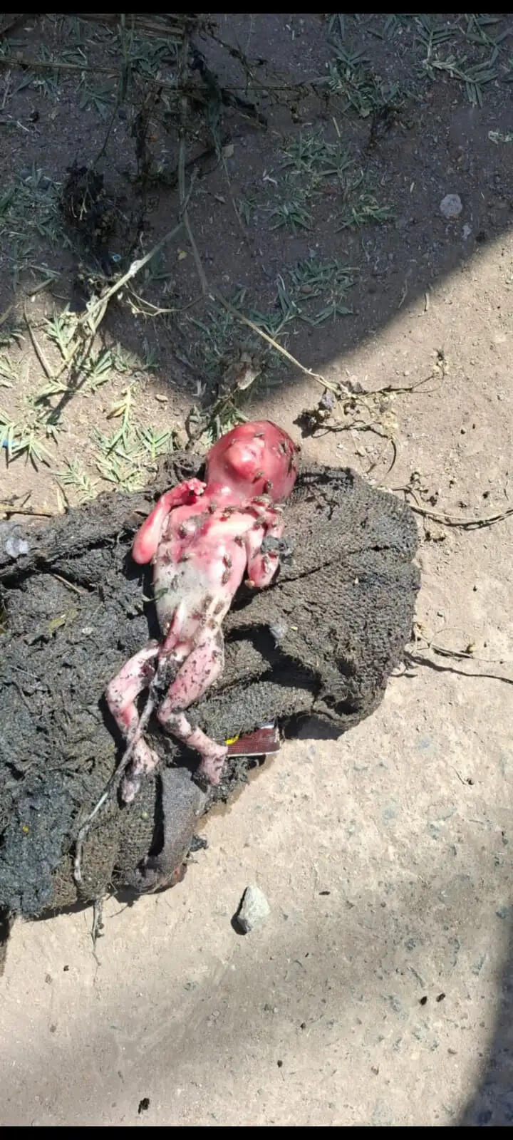 नाले में मिला नवजात का शव