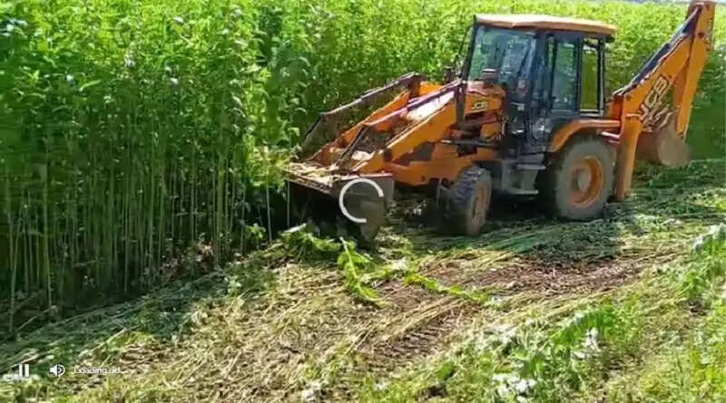 लाओखोवा वाइल्डलाइफ़ सेंचुरी में अवैध कब्ज़ा हटाने में जुटा वन विभाग