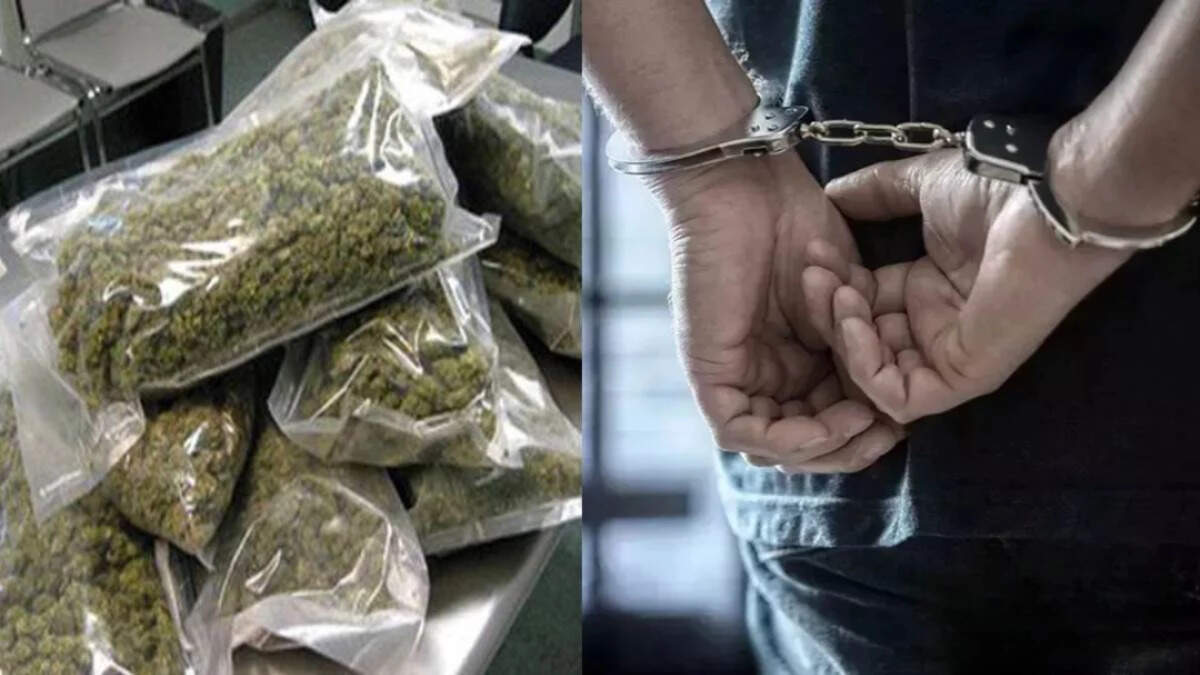 गांजा तस्कर गिरोह के पांच अपराधी गिरफ्तार