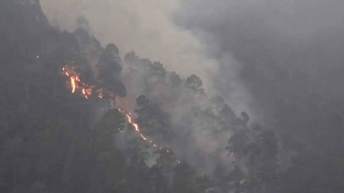 उत्तरकाशी के जंगलों में आग से कई क्षेत्रों में फैला धुएं का गुबार