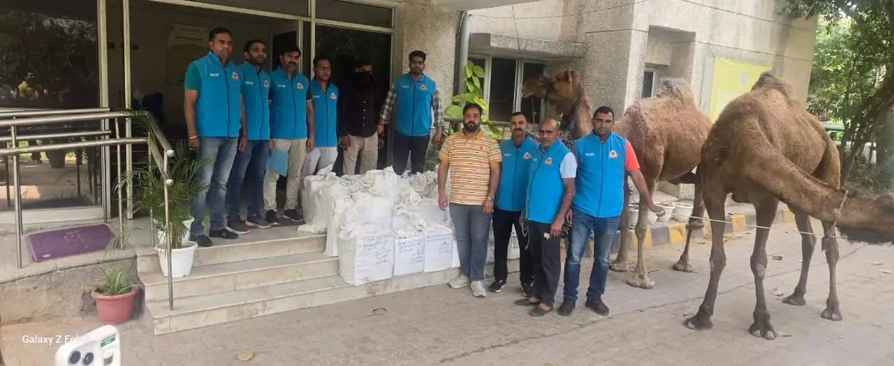 ऊंटों के सहारे शराब तस्करी का भंडाफोड़, आरोपी गिरफ्तार