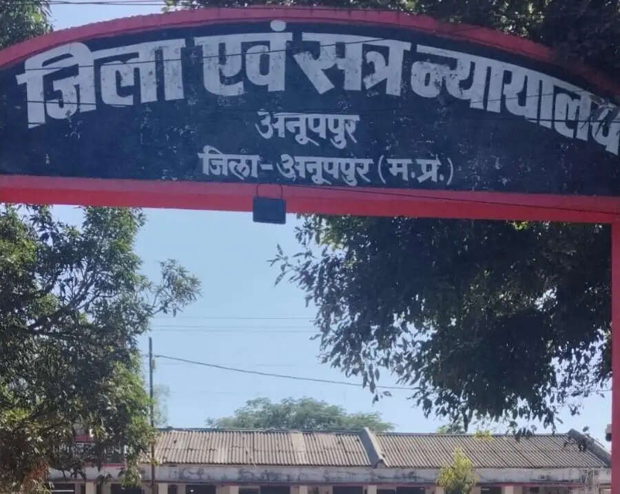 अनूपपुर: विशेष लोक अदालत: 23 प्रकरणों का हुआ सौहार्दपूर्ण निराकरण, 77 लाख से अधिक का आर्वाड पारित