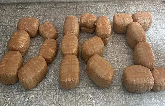 डीआरआई ने बिहार में लगभग 105 किलोग्राम गांजा किया जब्त, दो लोग गिरफ्तार