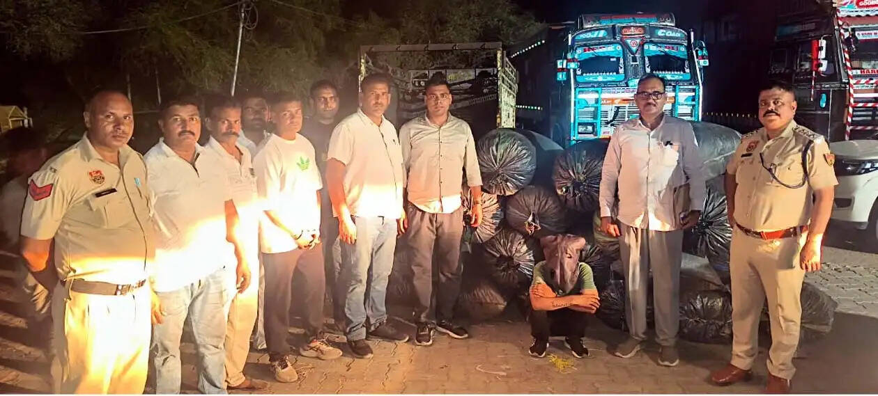 हिसार : कोयले की बोरियों में छुपाकर ले जाई जा रही डोडा पोस्त की खेप बरामद