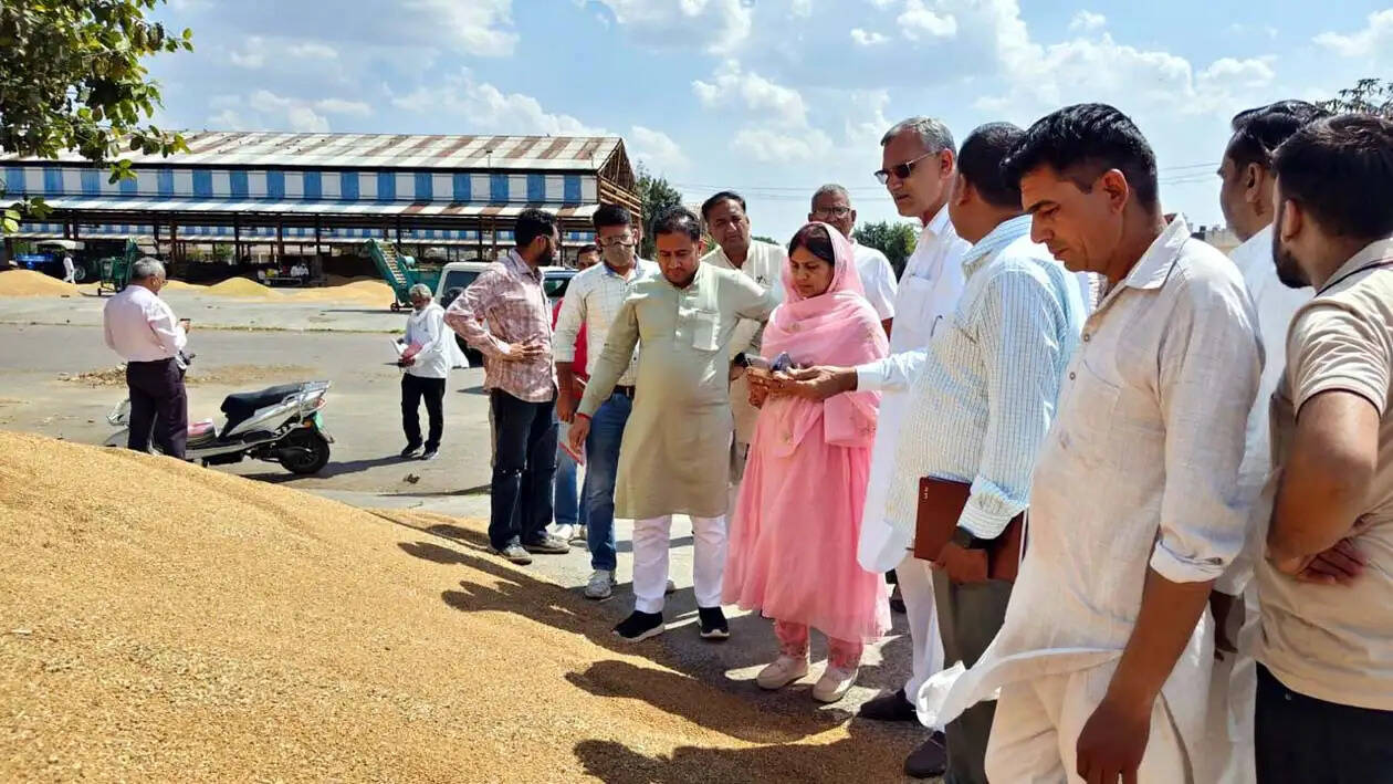 हिसार : किसानों के हित सरकार की प्राथमिकता : डॉ. आशा खेदड़