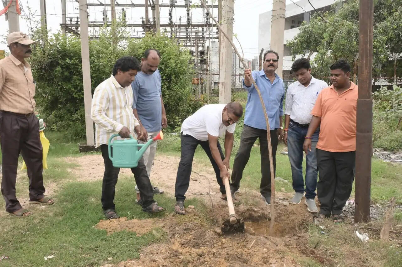 हरित कोरबा अभियान जारी, सुनालिया पुल मोड़ से मल्टीलेवल पार्किंग तक किया गया वृक्षारोपण