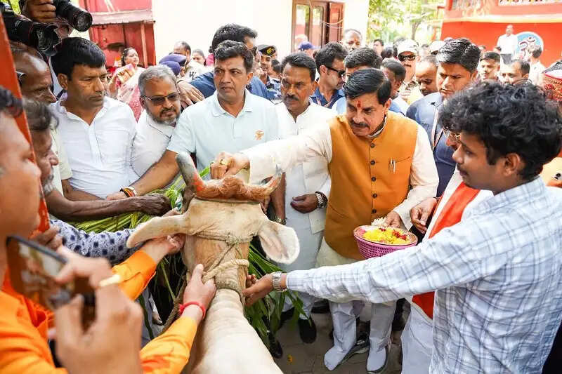 मध्य प्रदेश को बनाया जाएगा देश में आईटी और सेवा क्षेत्र का अग्रणी केंद्र:मुख्यमंत्री डॉ. मोहन यादव