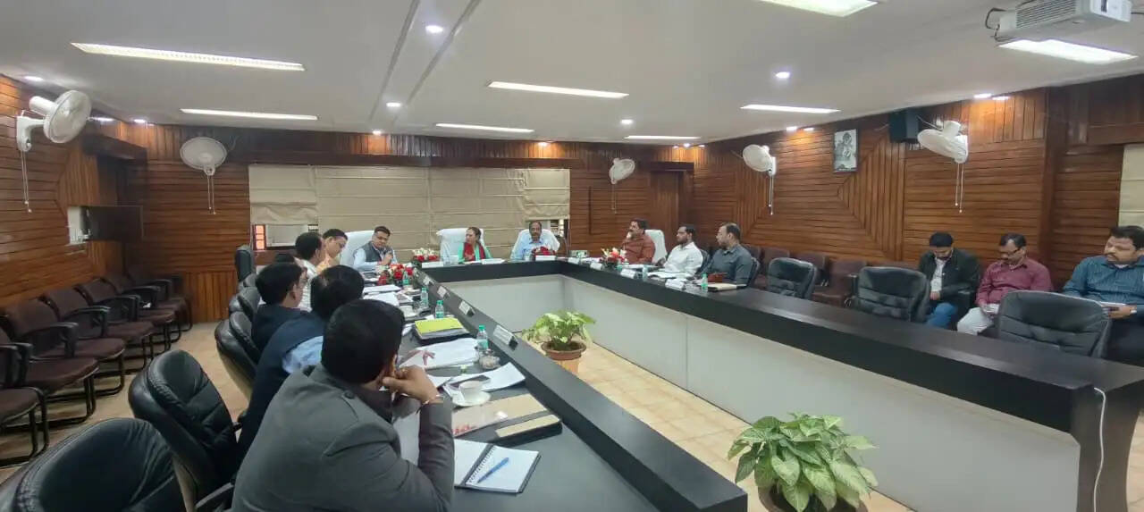 फर्जी आईटीसी पास ऑन करने वाली बोगस फर्मों के विरूद्ध करें प्रभावी कार्यवाही : कामिनी चौहान रतन