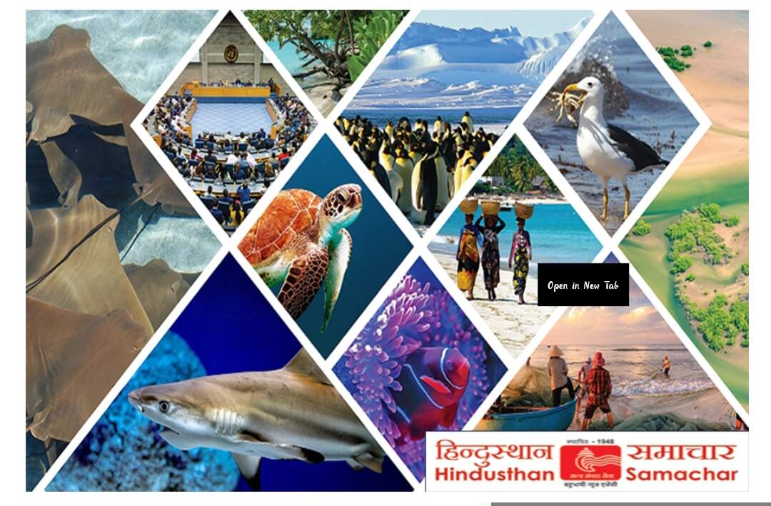 डिजिटल इंडिया के दौर में सरकारी वेबसाइटों से 'मूल हिन्दी' गायब, गृह मंत्री को लिखा पत्र