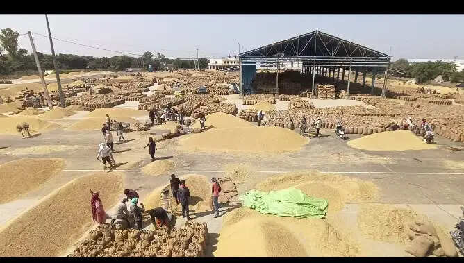 कैथल: धान खरीद में देरी से भड़के किसान, मार्केट कमेटी कार्यालय के गेट पर जड़ा ताला