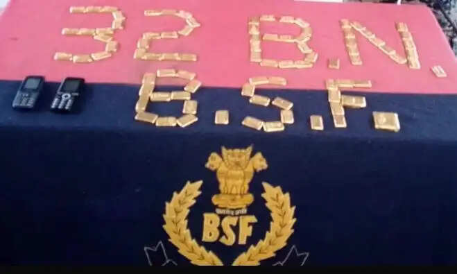 नदिया सीमा पर 17 करोड़ रुपये का सोना बरामद, पकड़ा गया तस्कर